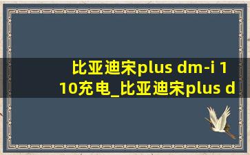 比亚迪宋plus dm-i 110充电_比亚迪宋plus dm-i 110km旗舰版